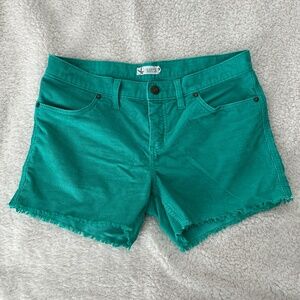 Carve Designs - Dogtown Oahu Shorts - size 6